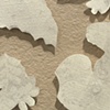 fragments