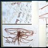 student work