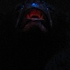 "Night Terror"

Tucson, Az. 