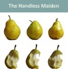 The Handless Maiden