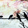 Birds On A Wire