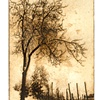 Etchings & Prints
