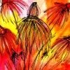 Cone Flower Study