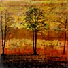 Bushfire Series - 2