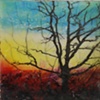 Bush Fire Series - 1