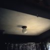 Bulb
