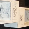 Life Cycle Shelf