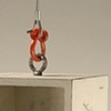 Hanging Drawer: Homage To Linnaeus, detail
