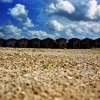 All the Clouds That Lowered Upon Our House