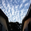 Interstice