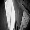 metropolis