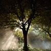 ray of light