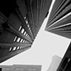 metropolis