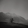Bavaria