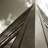 metropolis