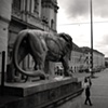 Munich
