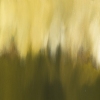 Untitled (Interior Landscape) .04