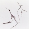 ink drawing #9