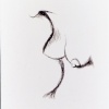 ink drawing #12