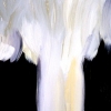 Untitled "Winter" (Breathwork) .22