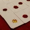  Untitled                              Blood Spot Series 