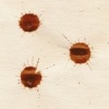 Original Blood Spot