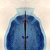 Momenta Art 2009