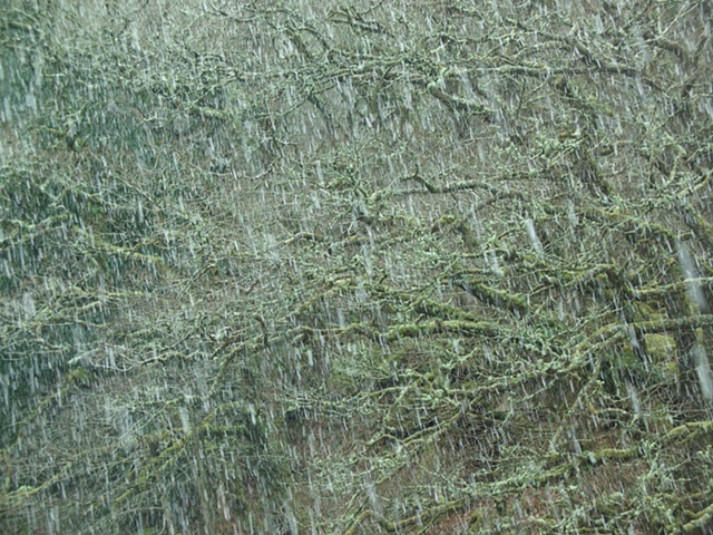 Sudden snow