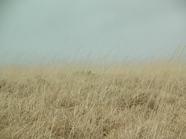 Winter hues