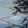 Using diagonals in garden design