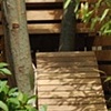 Tree house design and build