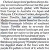 The Times