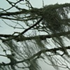 Sign of life