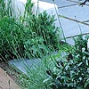 Garden Design London