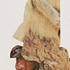 The Widow Wearing Fur
