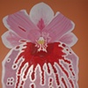 orquidia