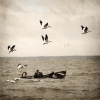pulling in the nets
