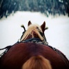 following faithfully