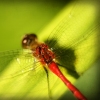 your delicate inner workings