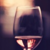 the light, the wine, the forest, your fingerprints