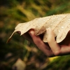 you should have held my hand