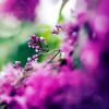 your scent was everywhere