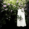laundry and lilacs
