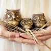 my someday family