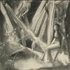 Sabra