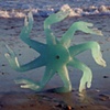 Wheel on the Beach