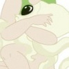 Squid