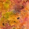 "Berberis Healing"