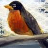A Robin
