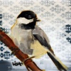 Chickadee in a Tree